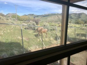 Image of Elk View Cabin