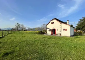 Image of Parote txipia