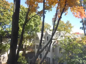 Image of Harvard Square!