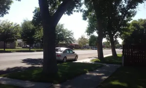 Image of Bright and Cool Powell Apartment