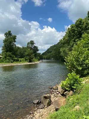 Image of Relaxing waterfront cabin with a loft!
