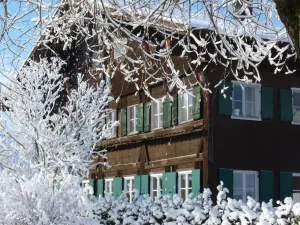 Image of Ferienwohnung Immergrün