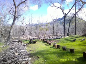 Image of Seasonal Creek Rustic Suite: