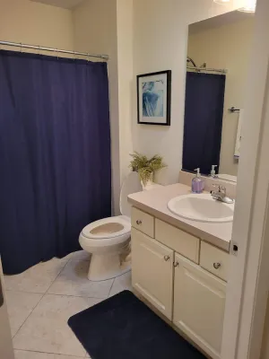 Image of Beautiful 2 bed\/2 bath Patio Villa near Sumter landing!