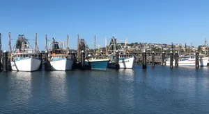 Image of 9 at the Marina  - Holiday House