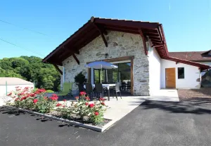 Image of Buztingorria