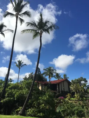 Image of Discounts! Experience WaikaloAloha!  Cozy. Comfy. Convenient. Views.
