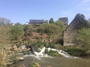 Image of LES MEZERAIS RURAL 1 BED PRIVATE COSY GITE SLEEPS 2