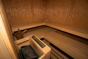 Image of Sauna apartment \"Landhaus Zell am See\" in Niedernsill. Pet friendly!