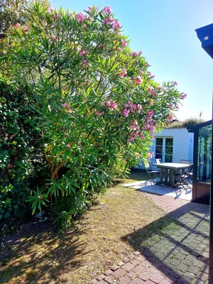 Image of OLD: charming house 100m from the beach (2 bedrooms, 2 bathrooms)