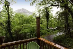 Image of Chimney View by Carolina Properties, Walk to shops