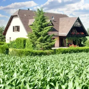 Image of Appartement charmant à Hochfelden - 100 m² et parking gratuit