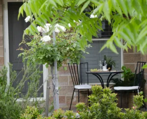 Image of Bartletts Corner - Private Peaceful Studio