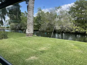 Image of Waterfront freshwater paradise! Swim with manatees in our backyard!