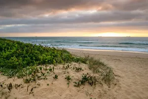 Image of Wollongong Surf Leisure Resort
