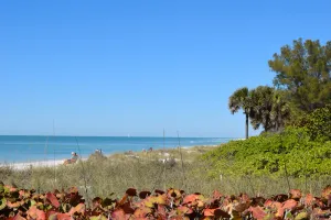 Image of Seaside Beach House 101 Gulf Front Condo  Pool Unforgettable Sunset Views