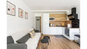 Image of Amazing flat, Paris suburb, near Versailles ,Orly