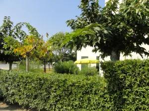 Image of GROUND FLOOR DIRECT ACCESS BEACH 'uncrowded' Gde Terrace