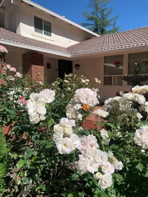 Image of Pleasanton Gem: Entire House 4 Beds\/Bonus RM! Convenient to BART & Shopping!