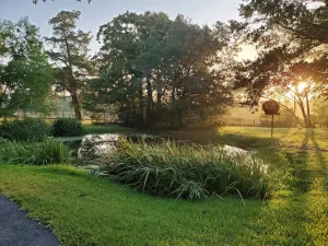 Image of Quaint 4 Bedroom Farmhouse near Round Top, New Ulm