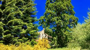 Image of ❤️ Château 100%privé = ideal multigeneration ☀️Belles RETROUVAILLES