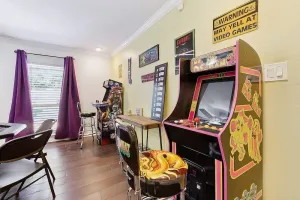 Image of LSU Slammer Arcade 4 5 mile to LSU Private Yard