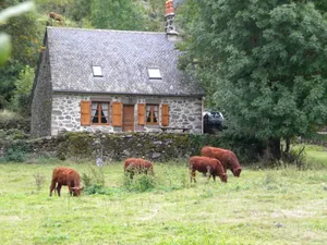 Image of House 15380 St. Vincent de Salers