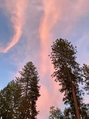 Image of Whispering Pines! 25 miles to Yosemite + 9 miles to Mariposa!