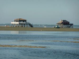 Image of In the heart of the Bassin d'Arcachon, on the edge of the salt marshes and the coastal path.