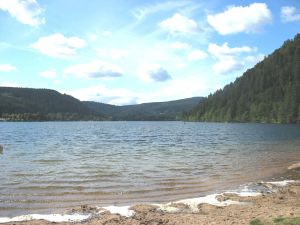 Image of On the edge of a forest, in a peaceful setting, comfortable wooden chalet rated 3 stars.