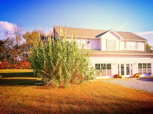 Image of WELCOME Cave Visitors! Clean, Peaceful Home in the Country. Game Room\/Mini Gym!