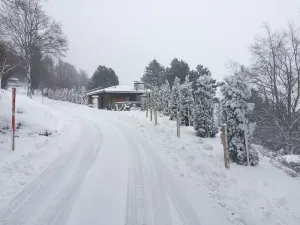 Image of Chalet lovers in Switzerland