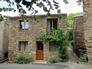 Image of Self catering holiday rental La vigne magique