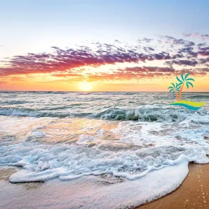 Image of Great VALUE!! Walk to Whaler's Village  G101