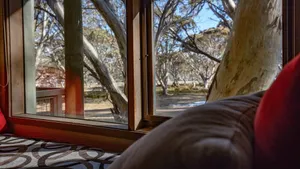 Image of Snowgums 07