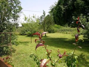 Image of Gite Dompierre-sur-Besbre, 3 bedrooms, 6 persons