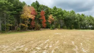 Image of Perfect for a Quick Escape! 2 Spacious Units w\/ FREE Breakfast and Parking!