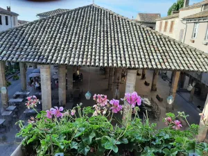 Image of Large charming studio