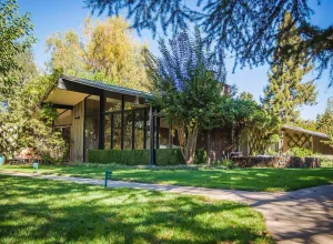 Image of Mid-Century Modern Wine Country