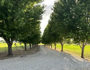 Image of Beautiful Country & Ranch setting with room to relax