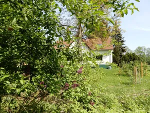 Image of Holidays in the center of the biosphere reserve Burg im Spreewald