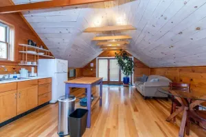 Image of Bright and Cozy Treehouse Apartment