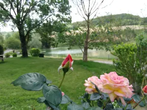 Image of Chalet Edelweiss: sleeps 4\/6