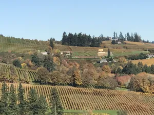 Image of Dundee Hills. 3 Master Suites! Exquisite Oregon Wine Country Experience
