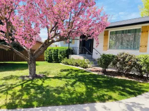 Image of Enjoy Artisan Bread ❤️ Quiet Rambler + Historic Park, Firepit, Pets, 2 Car Garage