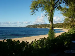 Image of Oceanfront 2 Bedroom at Chun's Reef