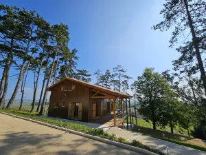 Image of Le cottage des pins chalet sur les vignes