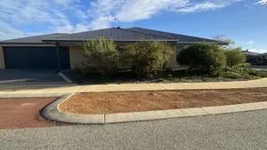 Image of Miss Boronia