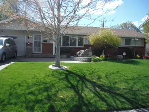 Image of Betty's Place