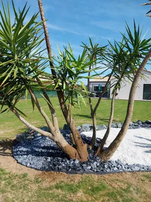 Image of Villa\/new house 8 p. SPA & SAUNA private 2 kms from the beach, marshes, forests